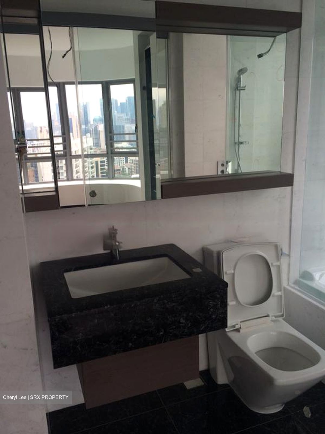 Starlight Suites (D9), Apartment #478205671